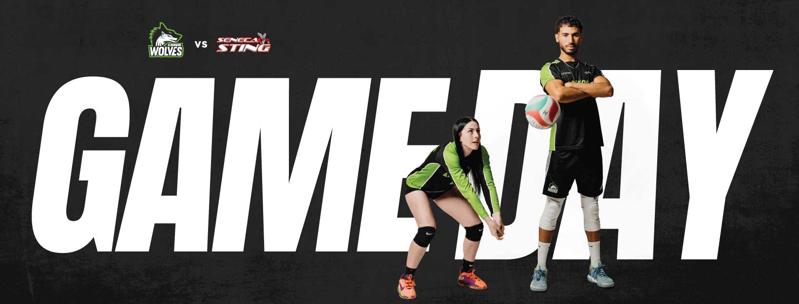 Algonquin Students' Association Volleyball Game Day Algonquin