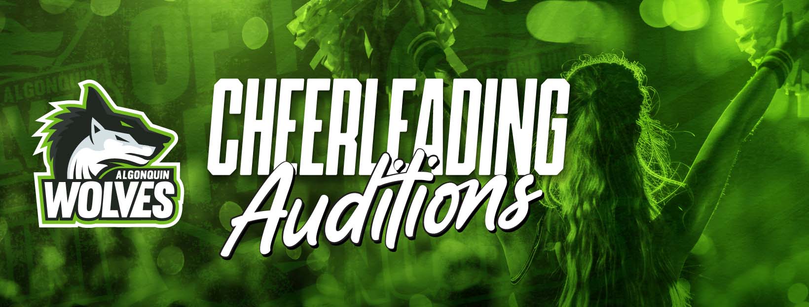 Algonquin Wolves Cheerleading Auditions